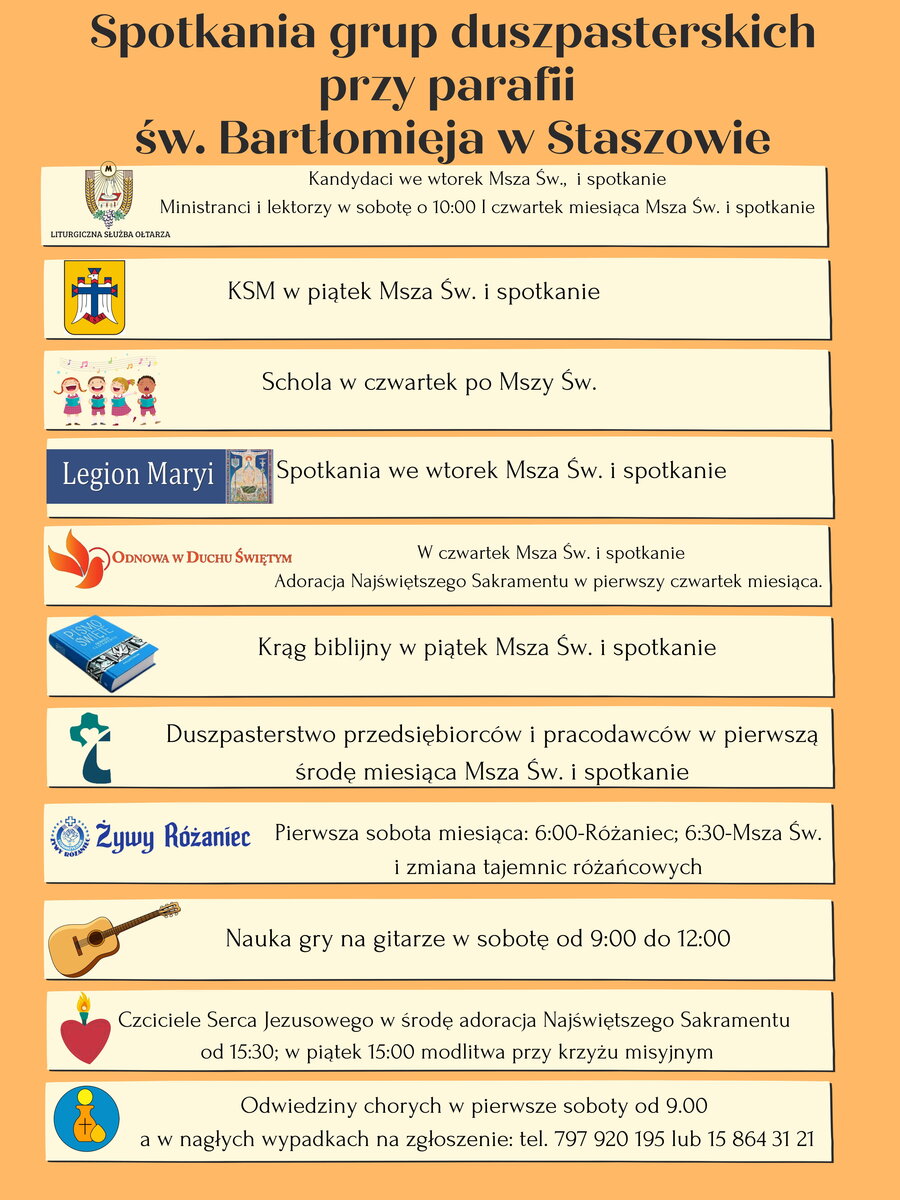 rsz różowy i kremowy ilustracja klasa zasady plakat1 1